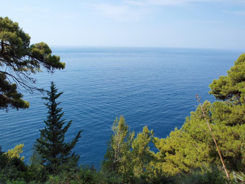 White & Co Villa And Apartments Dubrovnik Phòng bức ảnh